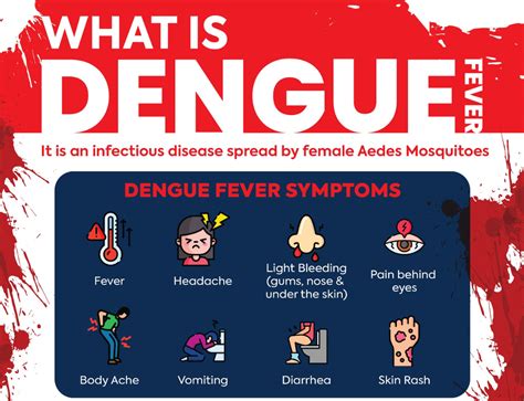 Dengue Fever Symptoms and Prevention .